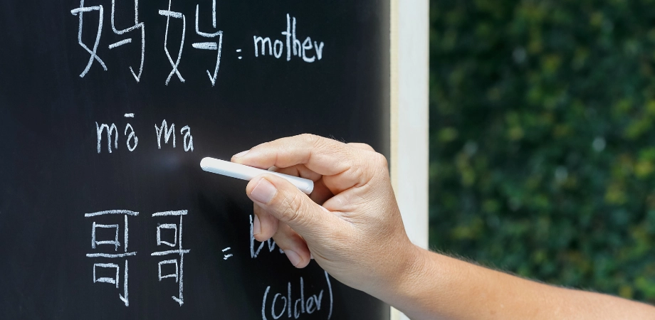 language learning