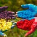 A Guide to Brands and Color Symbolism in Cultures