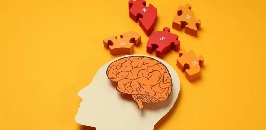 What is a Translation Memory